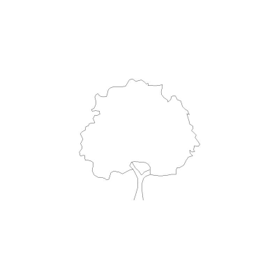Arbol Visto En Alzado, Mod. 4
