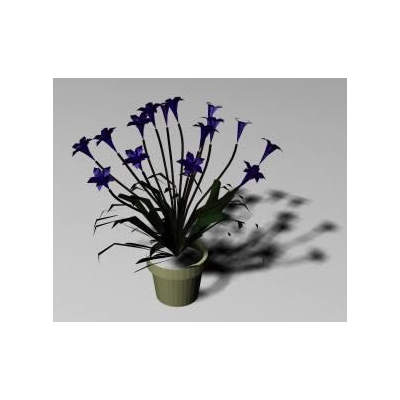 Flor de Interior en 3D Elegante