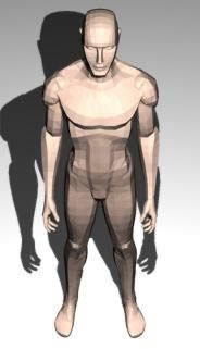 3d human figure