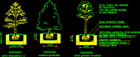 plantação de árvores