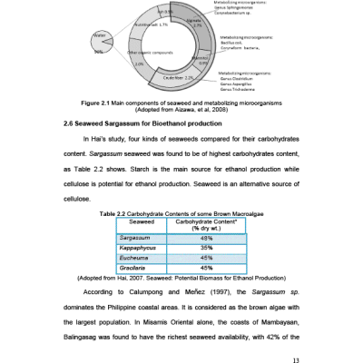 Produccion de Bioetanol a partir de Algas