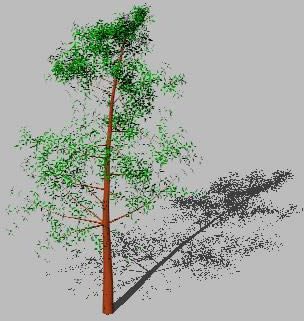 Baum in 3D, ausgezeichnete Auflösung