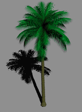 palmier en 3d