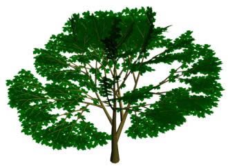 árvore 3d