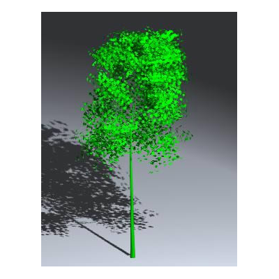 aspen tree 3d
