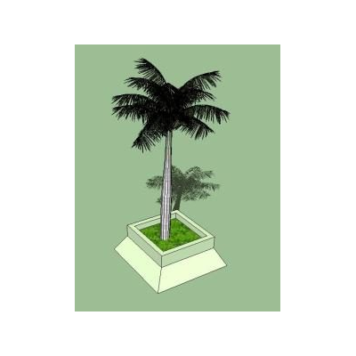 Palmera en base