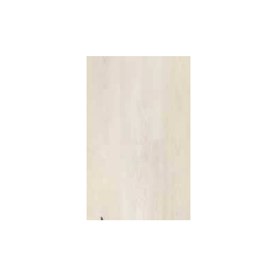 Pino bianco