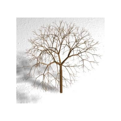 3d tree