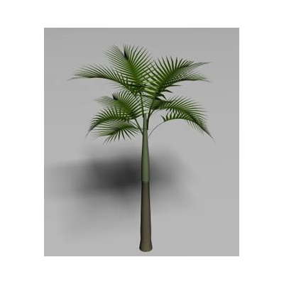 Palmera 3d