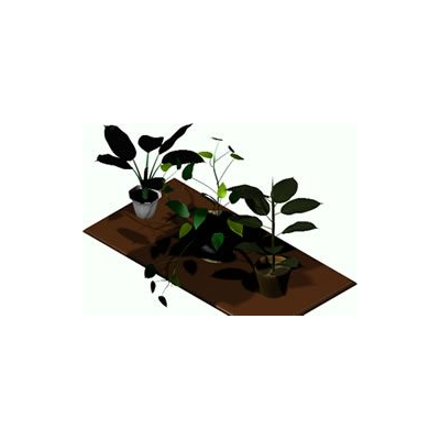 Plantas 3d