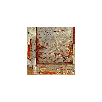 Struttura del legno stagionato