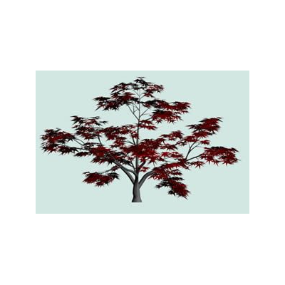 Arbol 3d