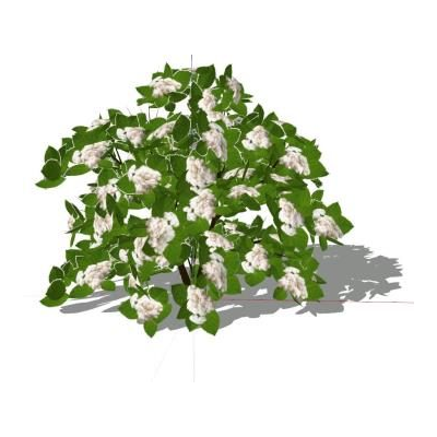 Flores blancas 3d