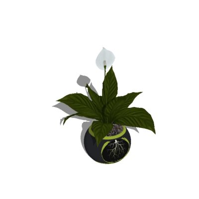 Plantas interiores 3d de alta definicion