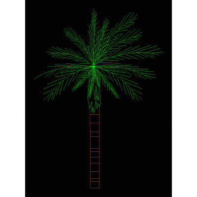 Diseno de Palmera Tropical