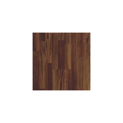 Struttura del legno di ebano