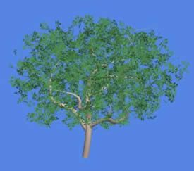 3D-Apfelbaum