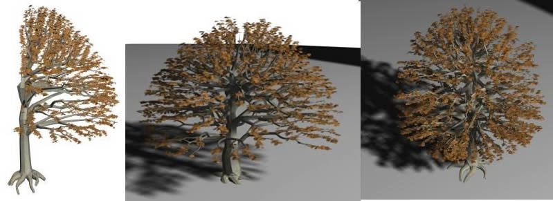 3D Bäume