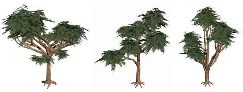 Bäume 3D Urwald