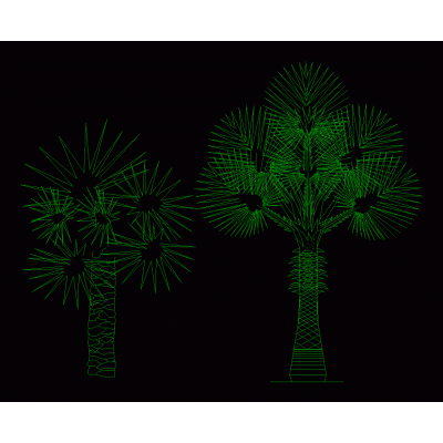 &Aacute;rbol