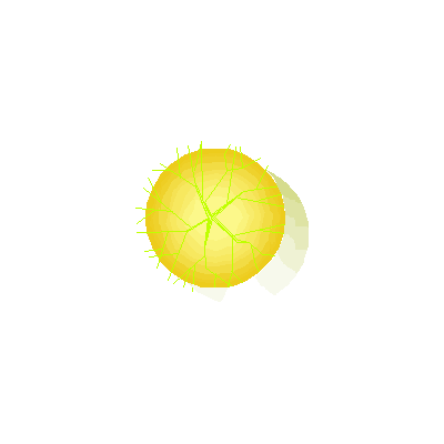 arbol Solar en Planta
