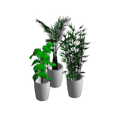 Pot de fleurs avec trois types de plantes différents