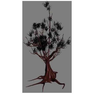 Bonsai