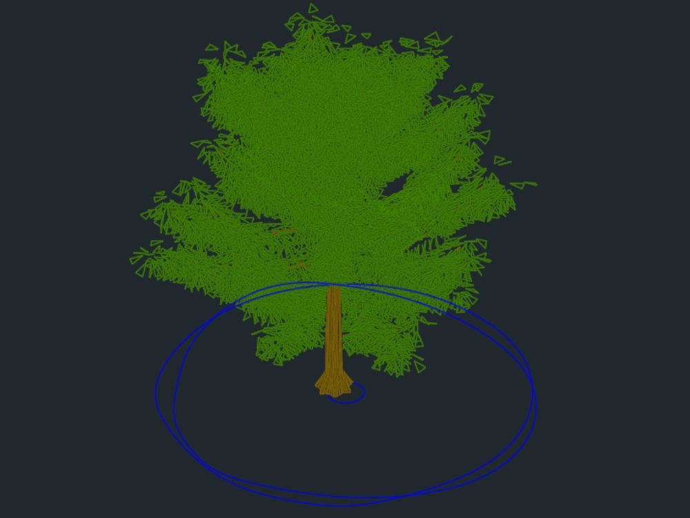 Baum in 3D 002