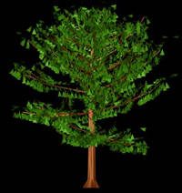 Baum in 3D 002