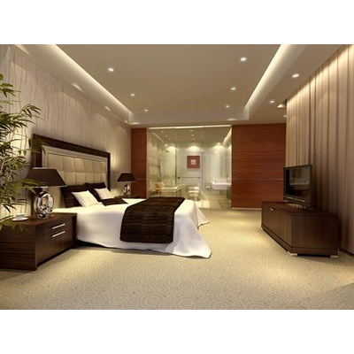 Habitaciones del hotel / master 3d
