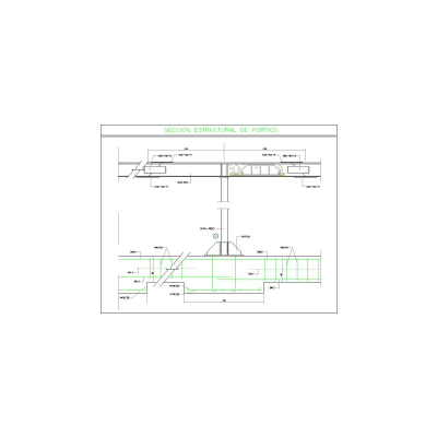Sección estructural del pórtico acero