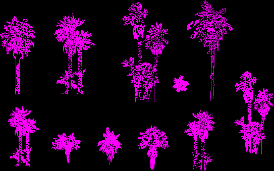 palm tree blocks