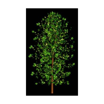 3d tree 011