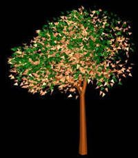 Baum in 3D 006
