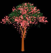 Baum in 3D 010