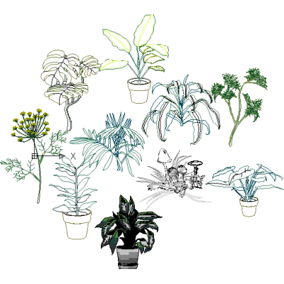 Plantas en en elevacion