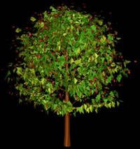 Baum in 3D 012