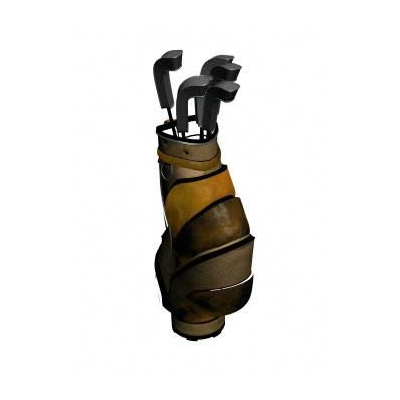 Bolsa de golf