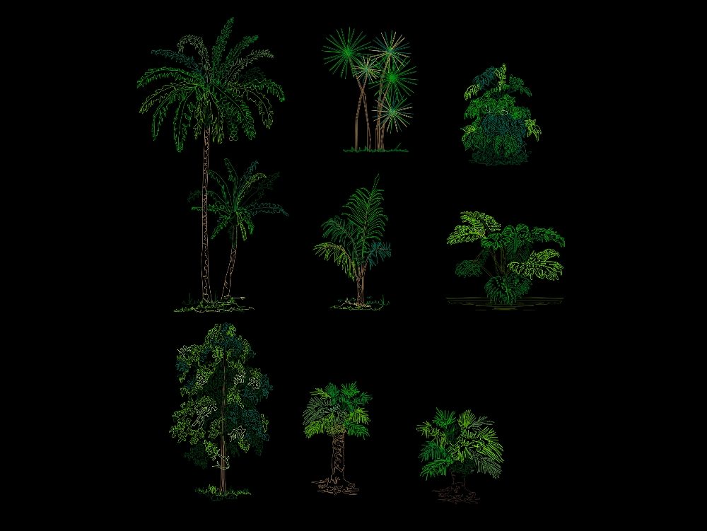 árvores e palmeiras