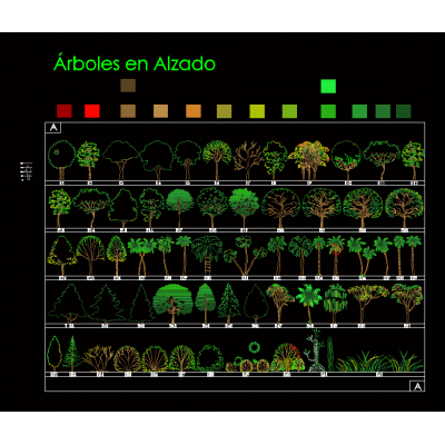 Arboles a color