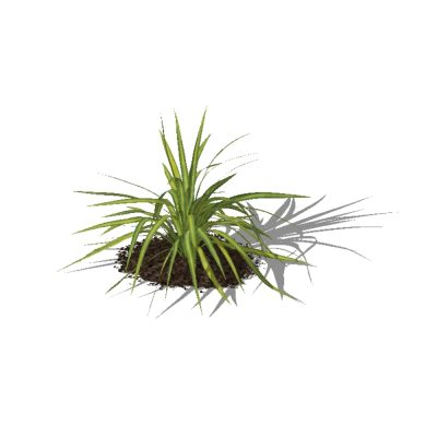 Plantas para jardines 3d - arbustos