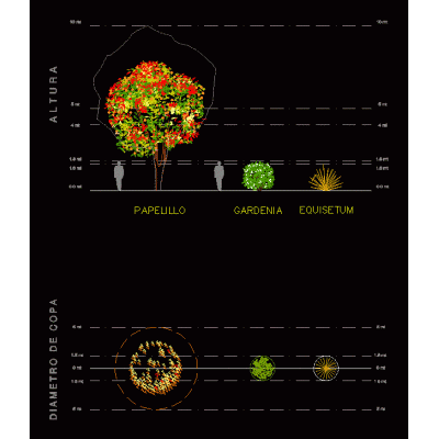 Vegetacion peruana 2