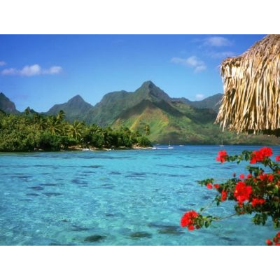 Paraiso Tropical en la Montana