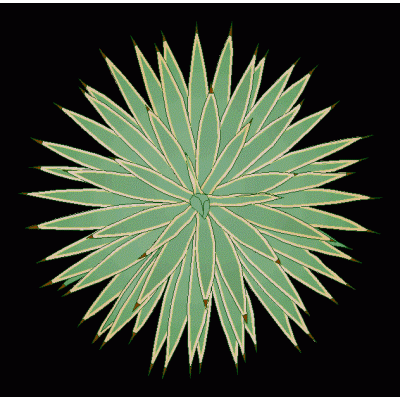 Planta desertica 2d