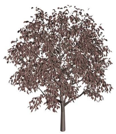 albero viola con texture 3d