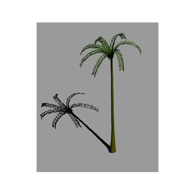 Palmera