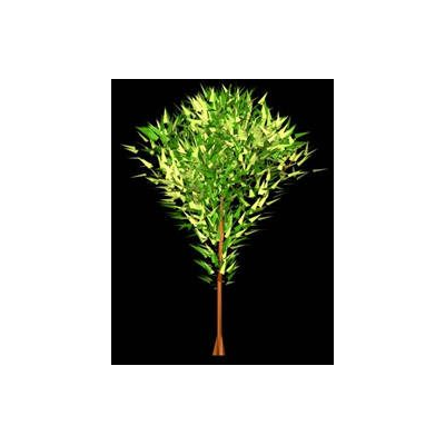 Leafy Virtual Tree