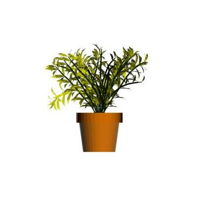 Planta en maceta