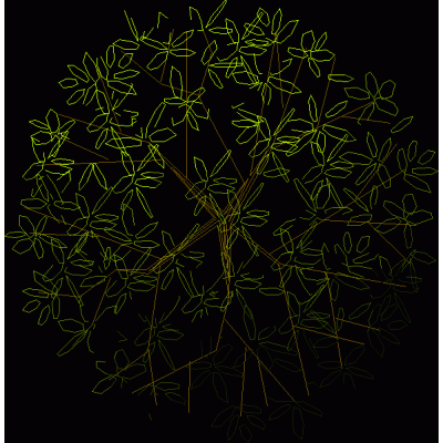 Arbol 2d