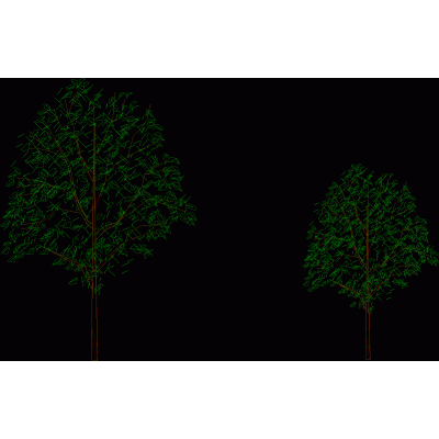 Elegantes arboles en Elevacion